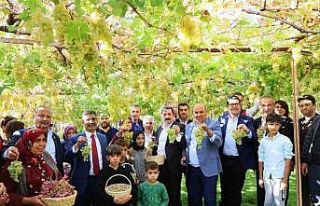 Arsa mahallesi Agro turizm merkezi oluyor