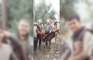 Avrupa’dan Türkiye’ye göç eden Kara Akbaba...