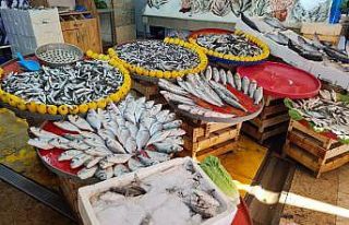 Aydın’da balık tezgahlarının yıldızı sardalya