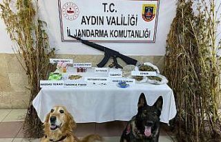 Aydın’da eş zamanlı uyuşturucu operasyonu: 26...