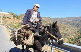 Aydın’da geleneksel kış hazırlıkları başladı
