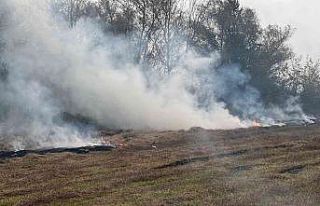 Bahçesindeki otları yakarken yangın çıkardı