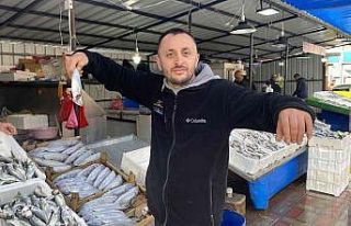 Balıkçıların yüzü hamsiyle güldü