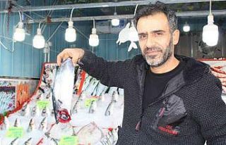 Balıkta bereket yılı