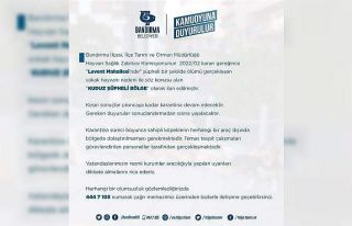 Bandırma’da bir mahalle kuduz şüphesi nedeniyle...