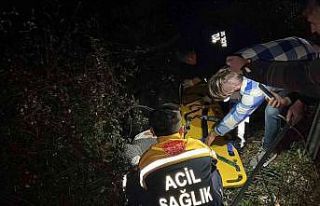 Bariyerlere çarpan otomobilin sürücüsü yol kenarına...