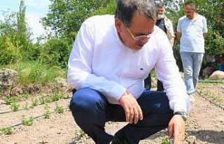 Başkan Demir: “Bir karış toprak bile boş kalmamalı”