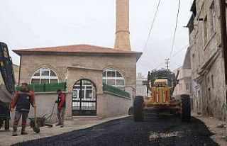 Başkan Savran, Herikli mahallesinde inceleme yaptı