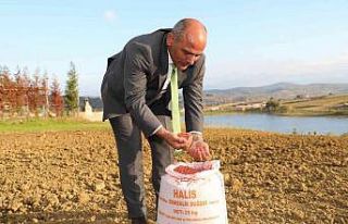 Başkan Söğüt: "Çiftçimize 37 ton buğday...