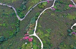 Başkan Tören: “Şehit ailemizin ve dezavantajlı...