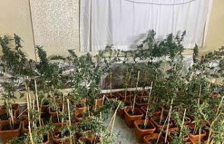 Başkentte gizlenmiş vaziyette çok sayıda uyuşturucu...