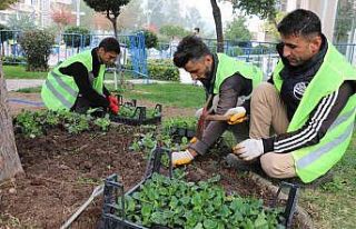 Batman’da cadde ve refüjler çiçeklerle süslendi