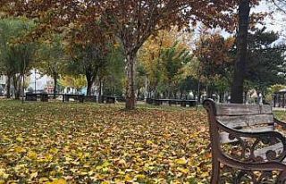 Batman’da sonbahar yaprakları süpürülmeyecek