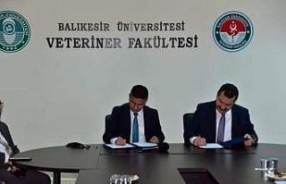 BAÜN’de "Damızlık Koç Üretim Merkezi"...