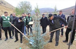 Bayburt’ta 105 bin adet fidan toprakla buluşturuldu