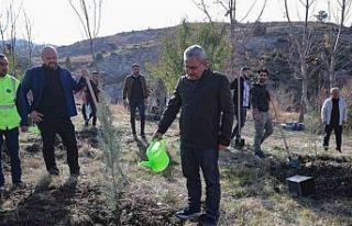 Belediyeden ağaçlandırma etkinliği