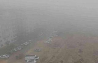 Besni’de yoğun sis