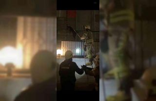 Beylikdüzü’nde tellere sıkışan köpeği itfaiye...