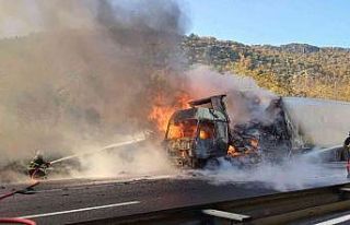 Bilecik’te kesilmiş tavuk yüklü tır cayır cayır...