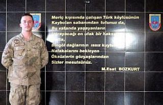 Bingöl’de jandarma personelinden ’Kadına yönelik...