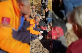 Bingöl’de kuşburnu toplanken kaybolan yaşlı...