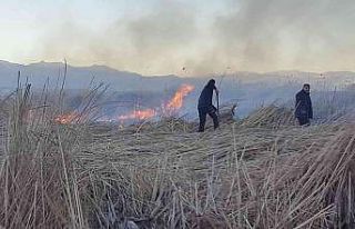 Birçok kuş türünün yaşadığı Nehil Sazlığı’nda...