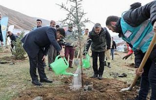 Bitlis’te 3 bin fidan dikildi