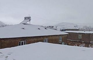 Bitlis’te kar yağışı