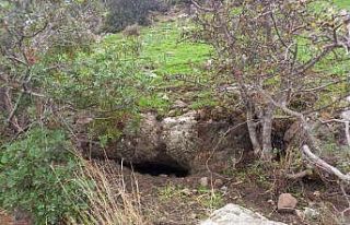 Bodrum’da kaçak kazıya baskın: 2 gözaltı