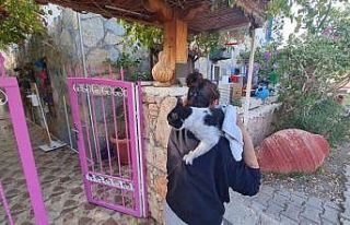 Bodrum’da otel alevlere teslim oldu