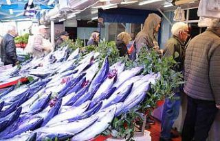 Bolu’da balık tezgahları palamut ve hamsiyle doldu