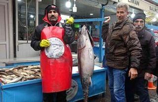 Bu balıkları görenler dönüp bir daha bakıyor,...