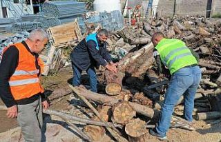 Budanan ağaçlar ihtiyaç sahiplerine yakacak oluyor