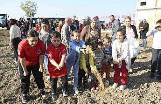 Buğday tohumları toprakla buluşturuldu