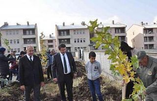 Bulanık’ta, fidanlar toprakla buluştu