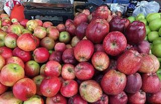 Burhaniye’de organik ürünler çiftçileri sevindirdi