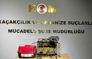 Bursa’da hayvan kaçakçılarına yönelik yapılan...