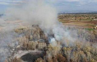 Bursa’da ormanlık alanda korkutan yangın havadan...