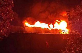 Bursa’da soğuk hava deposunda büyük yangın