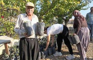 Büyükşehir’den çiftçiye keçiboynuzu desteği