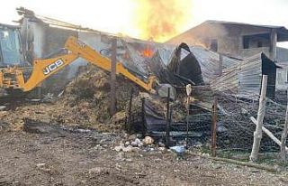 Çanakkale’de samanlık yangını: 6 inek telef...