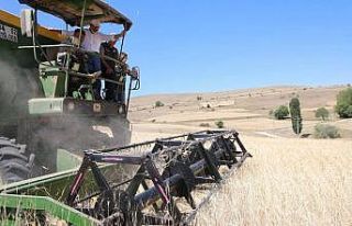 Çiftçi dostu Başkan Çolakbayrakdar’ın milli...