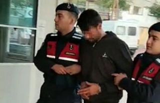 Çiftçilerin kabusuna ‘Yarasa avı’ operasyonu