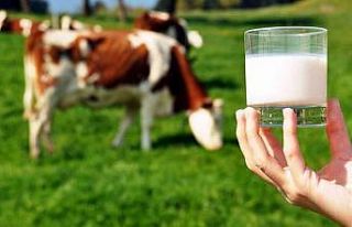 Çiğ süt destekleme ödemesi yatırılmaya başladı