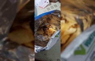 Cips poşetindeki fareye takipsizlik