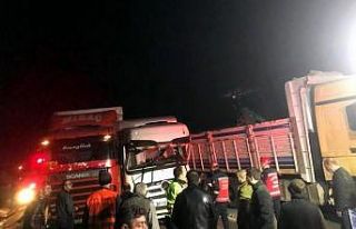 D-650’yi kilitleyen zincirleme kaza: 1 yaralı