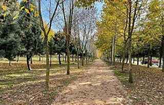 Dev mesire alanında sona gelindi