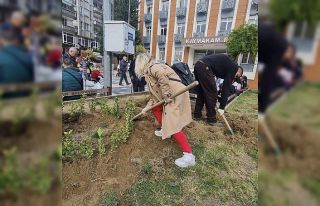 Devrek’te topraklar taflan ile buluştu