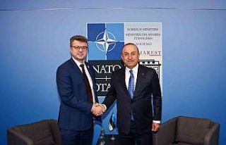 Dışişleri Bakanı Çavuşoğlu, Estonya Dışişleri...