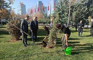 Dışişleri Bakanlığına 44 ağaç dikildi